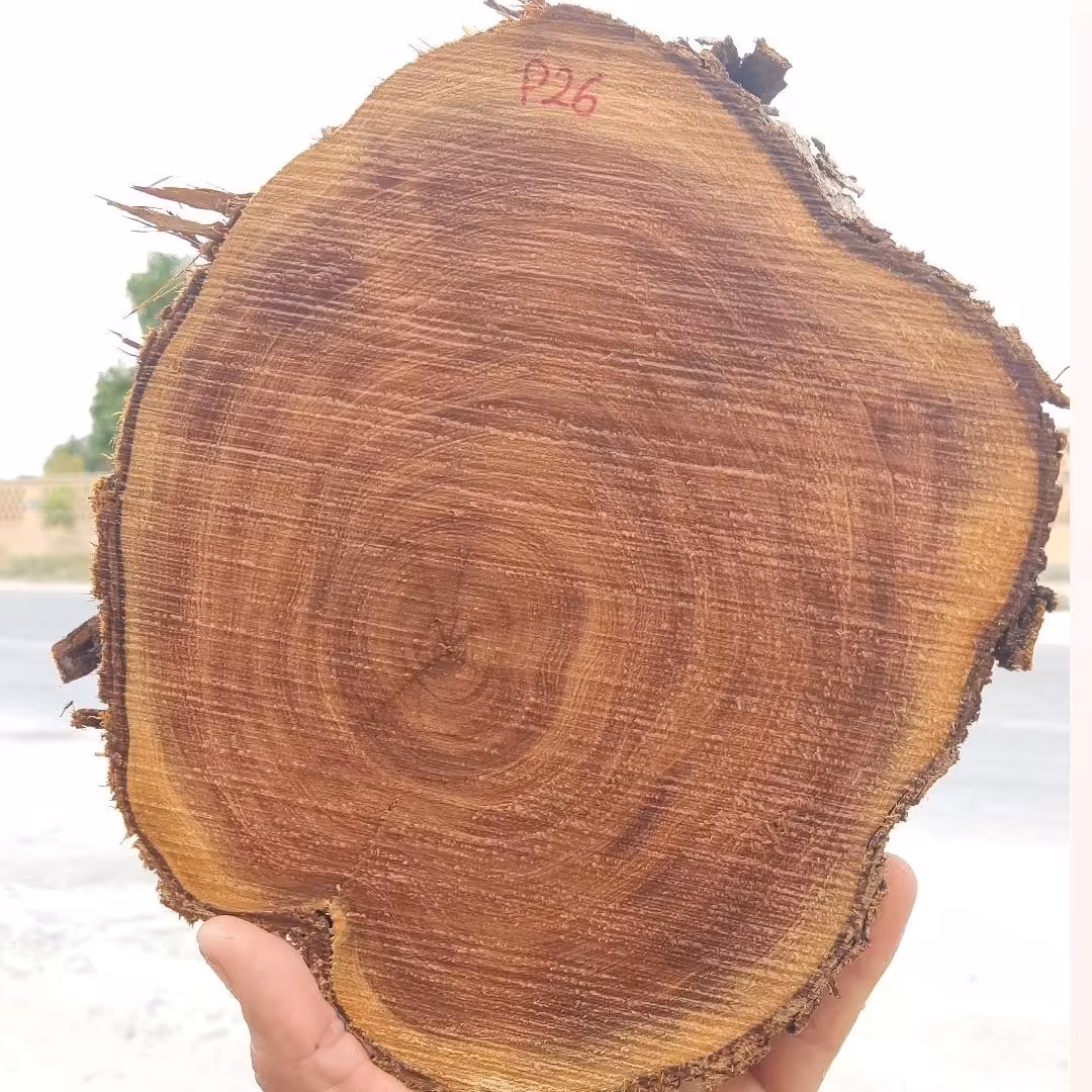 کالباسی کهور سرخ