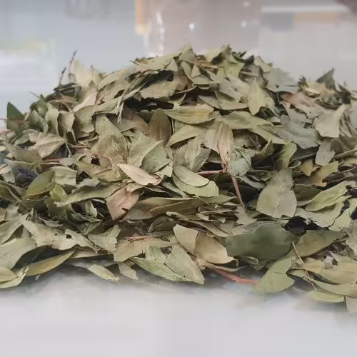 برگ مورد خشک شده100 گرمی اعلا

