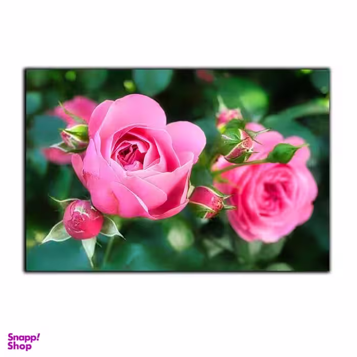 تابلو شاسی بکلیت طرح طبیعت گل محمدی مدل SH-S2969