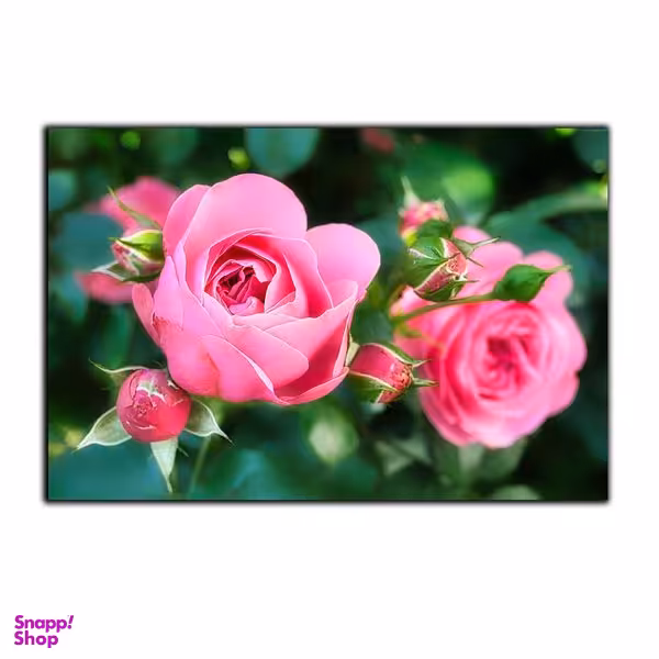 تابلو شاسی بکلیت طرح طبیعت گل محمدی مدل SH-S2969