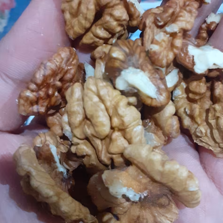 مغز گردوی متوسط  امسالی