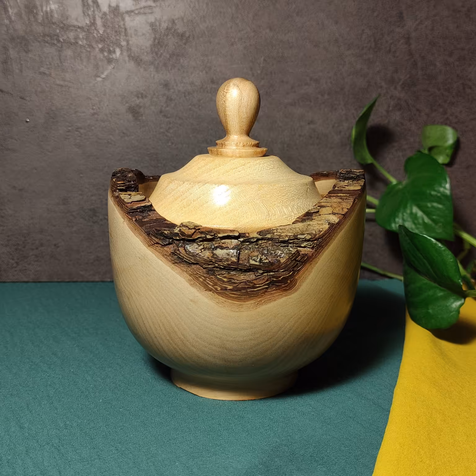 شکلات خوری لبه پوستی کد 027