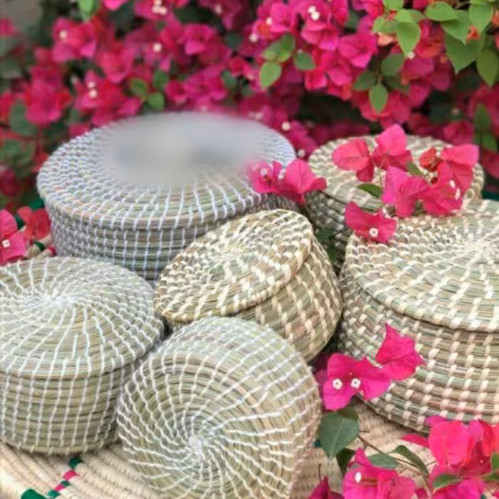 جبعه نظم دهنده