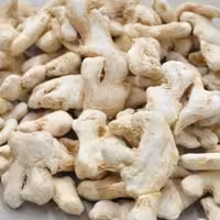 زنجبیل سفید 1 کیلو فوق اعلا (صادراتی لیزری) زنجبیل یک کیلویی