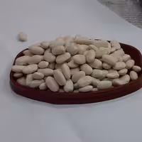 لوبیا سفید دانه متوسط دستچین اعلا