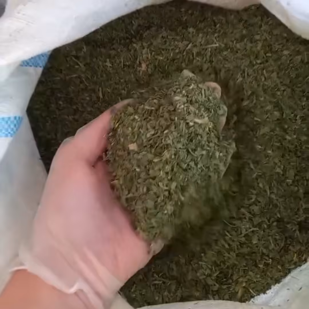 سبزی خشک آماده قورمه سبزی کاملا  سبز