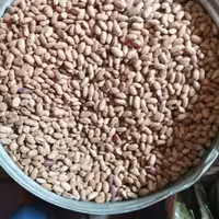 لوبیا چیتی 800گرم آقای عطار