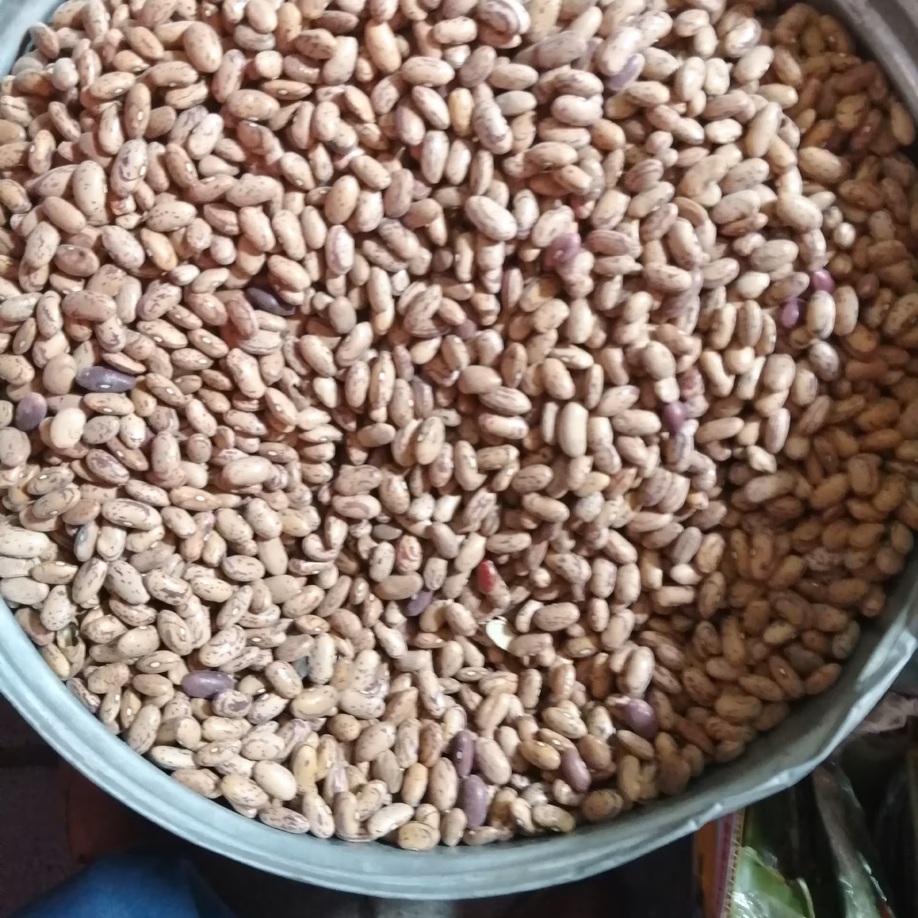 لوبیا چیتی 800گرم آقای عطار