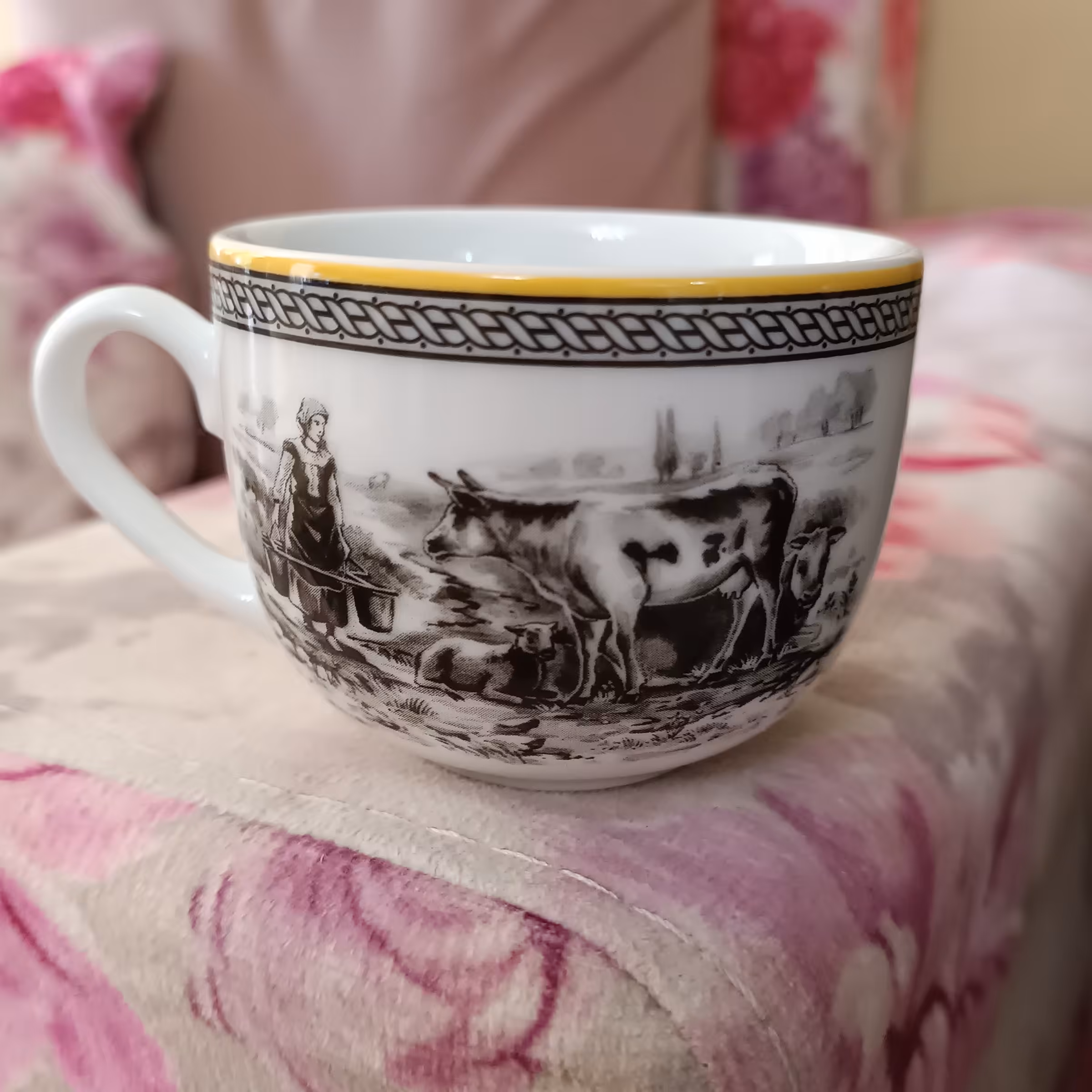 فنجان نعلبکی ویلیج