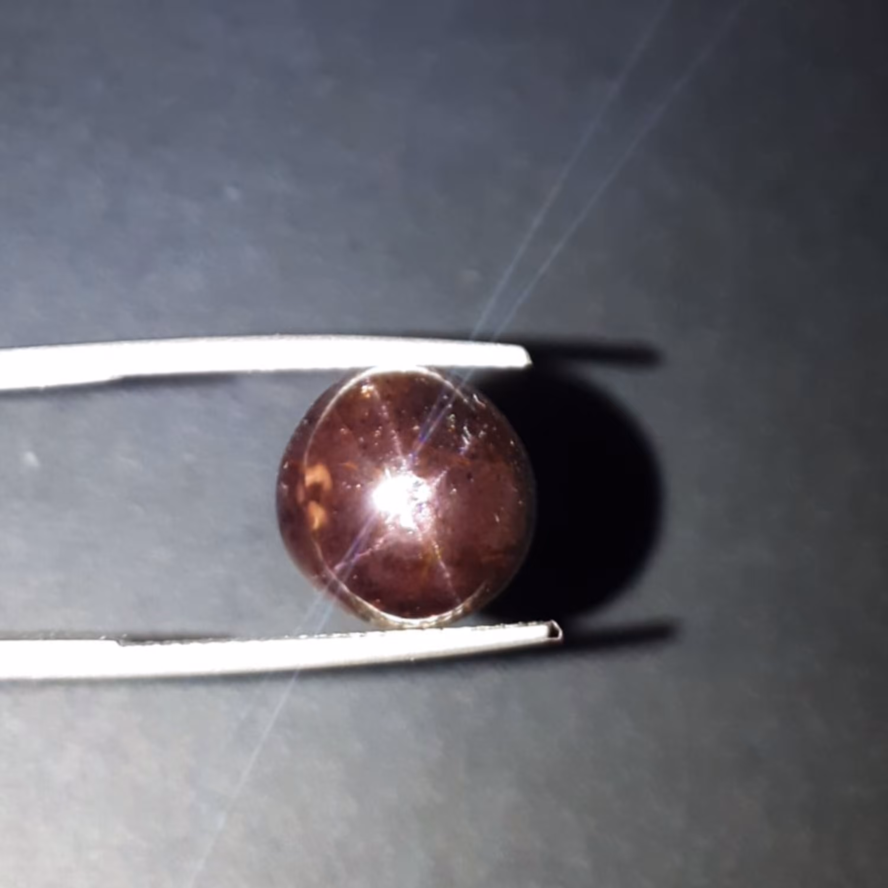 گارنت استار شش پرکدY 6565