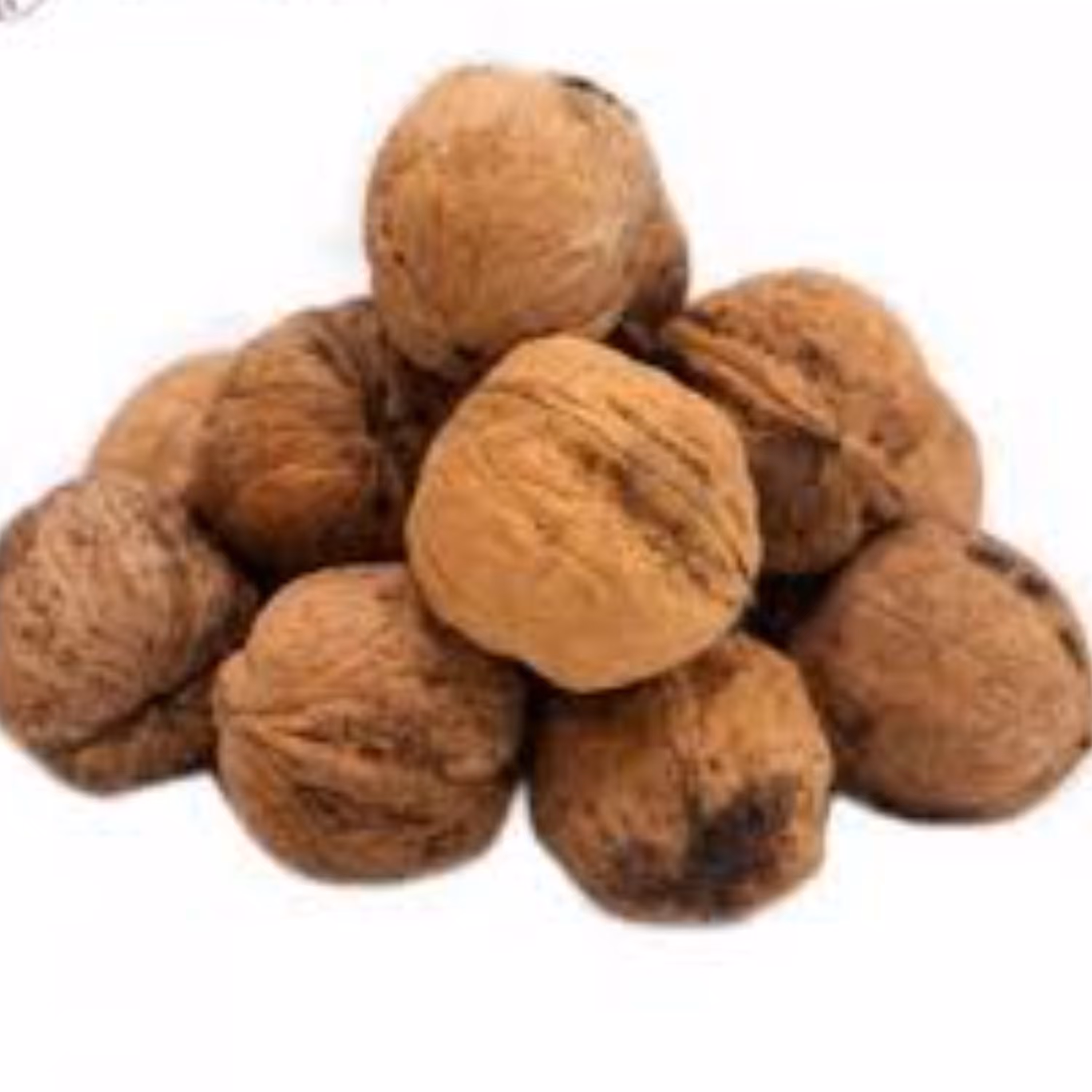 گردو ( 500 گرمی ) عطاری نیکو طبیب