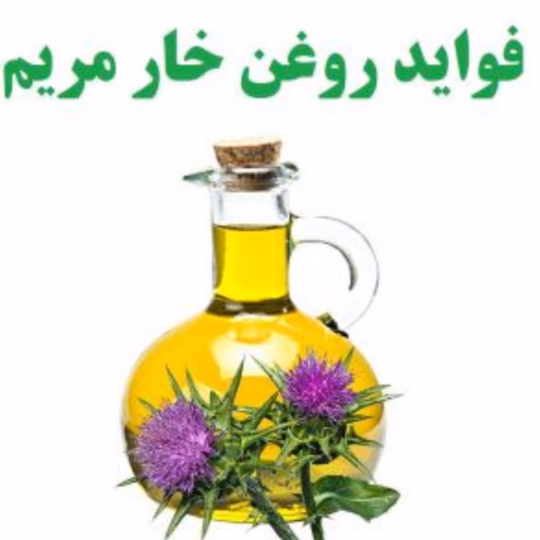 روغن خار مریم 30سی سی مناسب پوست کلیه و کبد