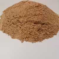 پودر سنجد تازه امسالی (500 گرمی)