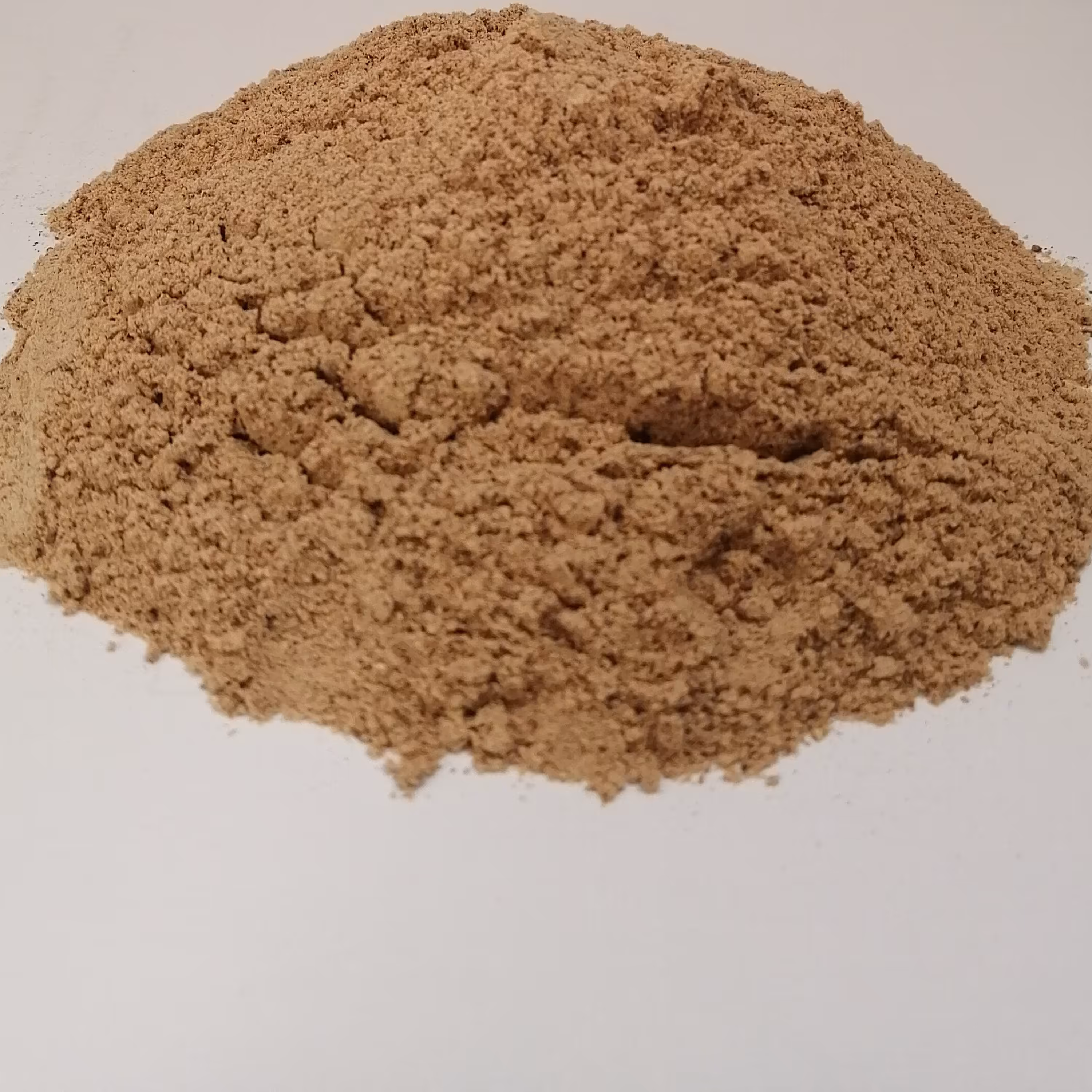 پودر سنجد تازه امسالی (500 گرمی)