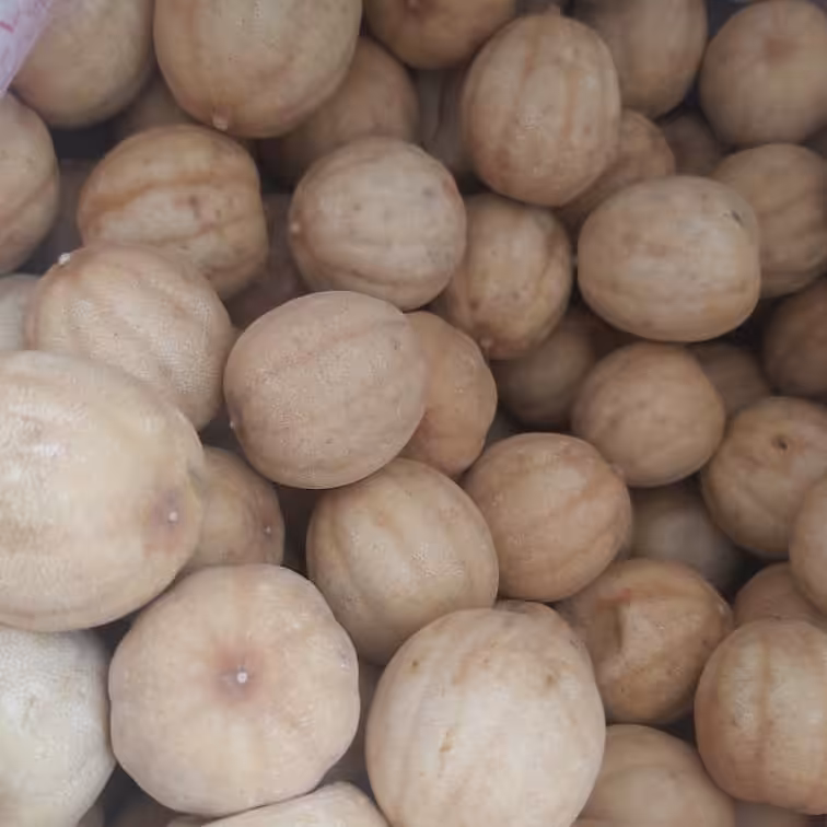 لیمو عمانی خشک اعلا