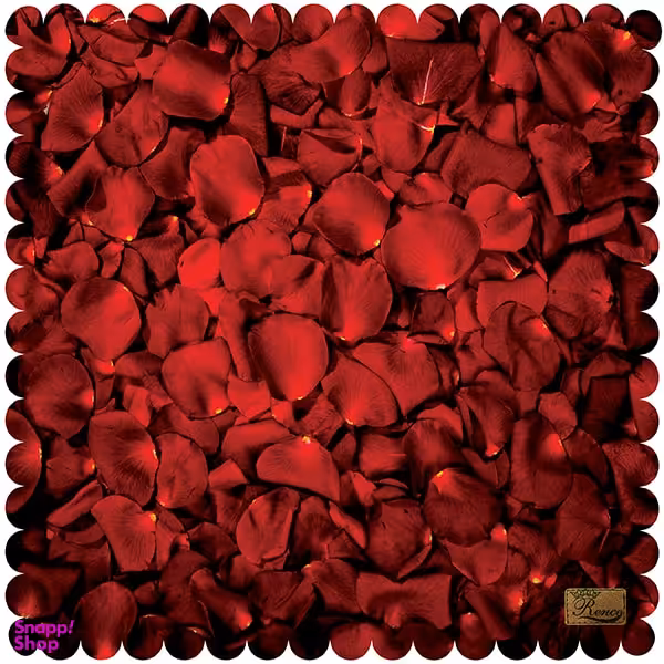 رومیزی رنس مدل T9-42803