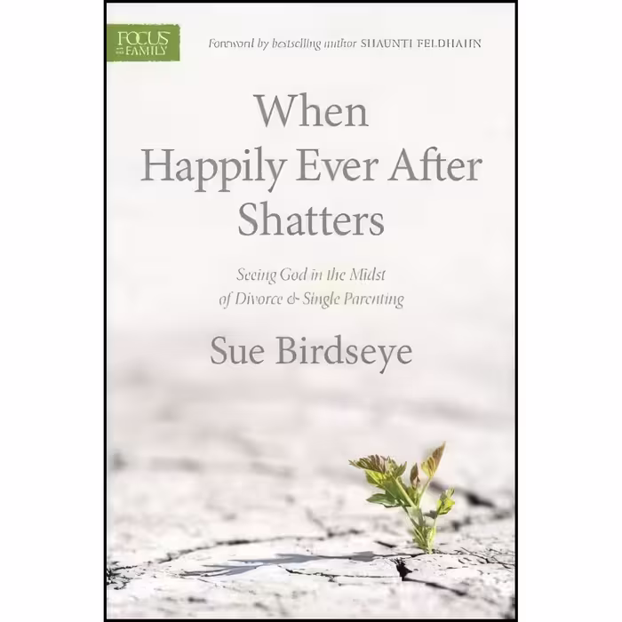 کتاب زبان اصلی When Happily Ever After Shatters