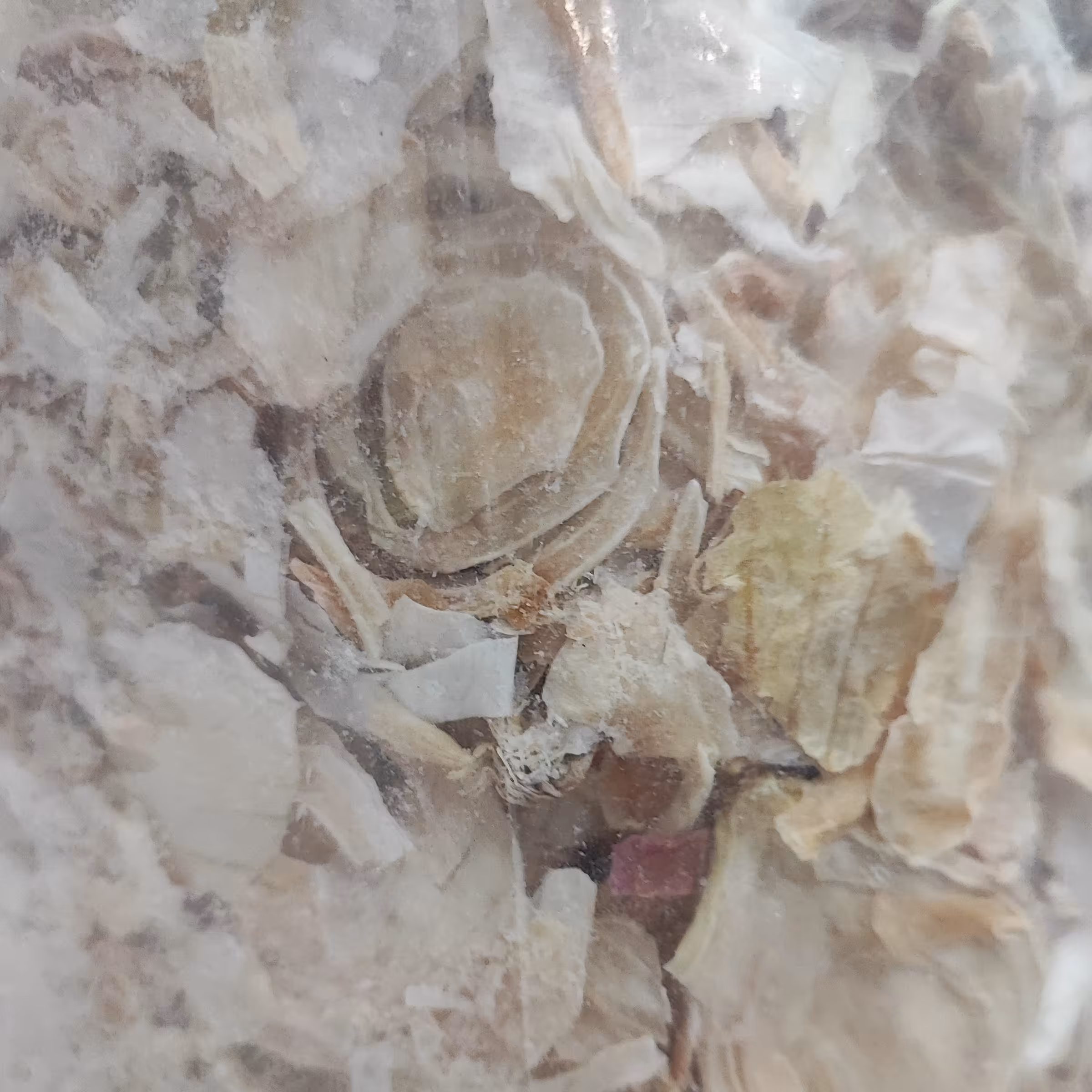 پیاز  خشک اعلا  اسلایس پیاز نیم کیلویی