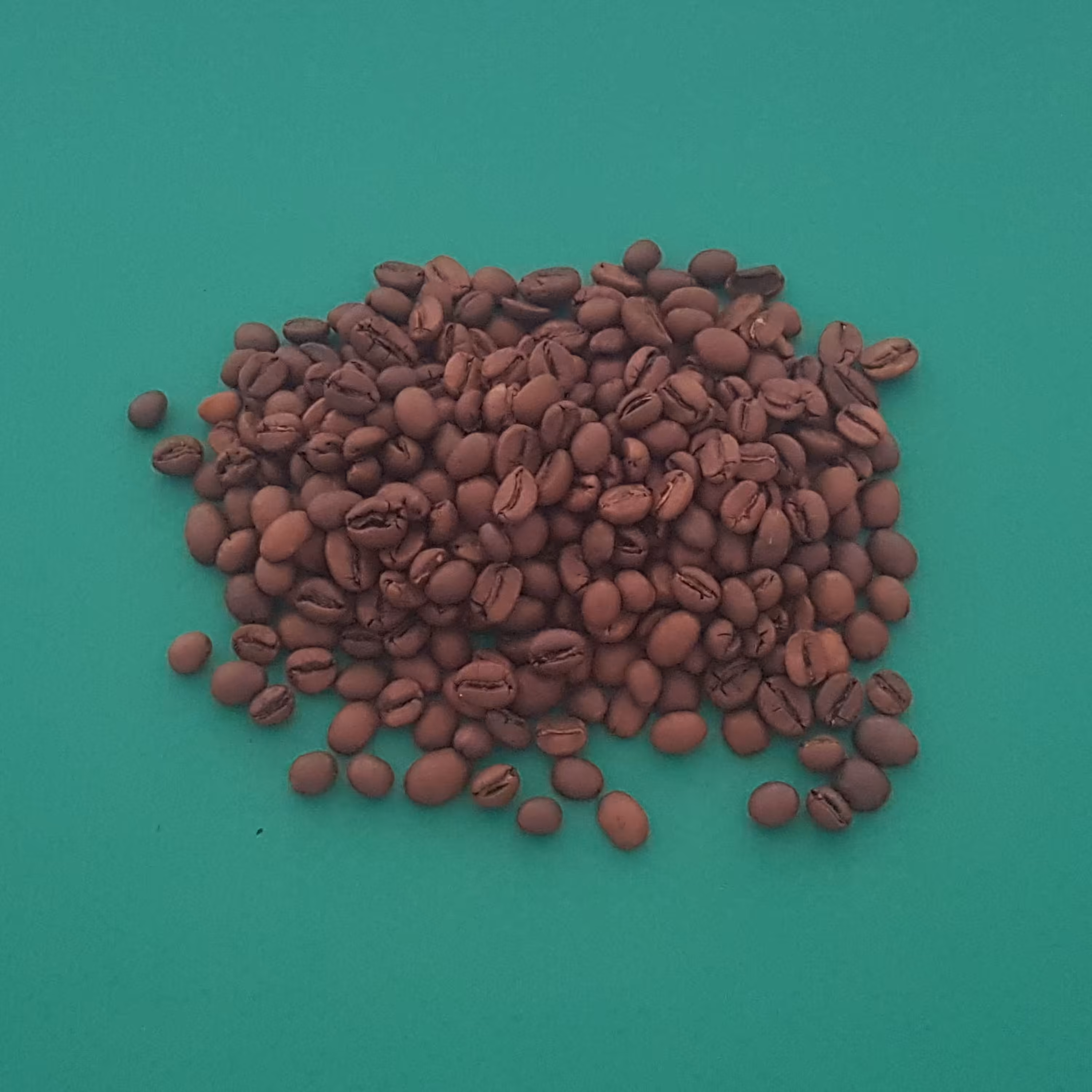 قهوه آسیاب نشده نیم کیلویی (( دان 70 به 30 ))