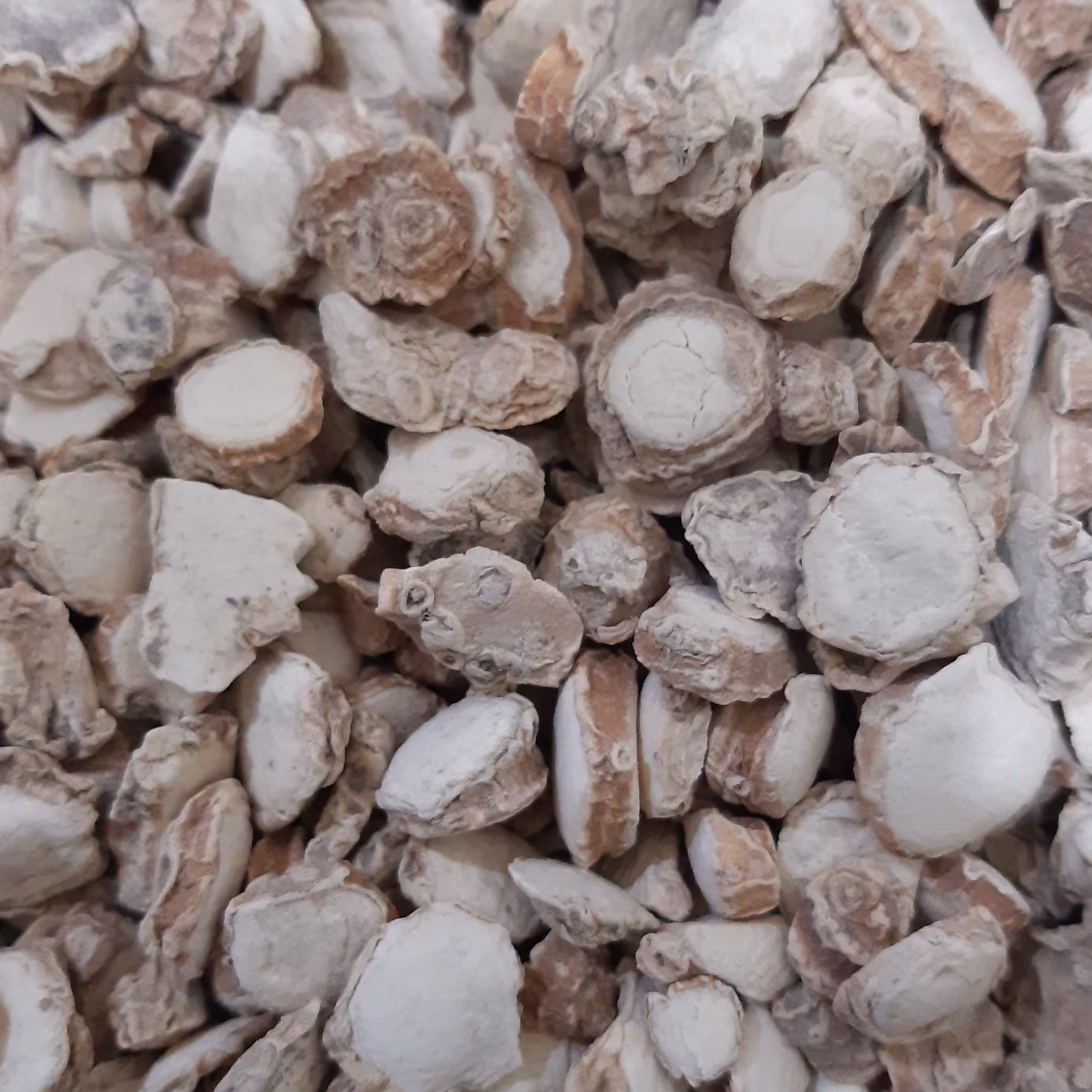 جدوا  سفید اعلا  (1کیلویی)    