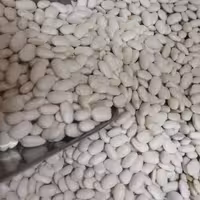 لوبیا سفید خوش پخت درجه یک در بسته بندی یک کیلویی