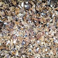 مغز گردوقهوه ای قیمت مناسب وارزان