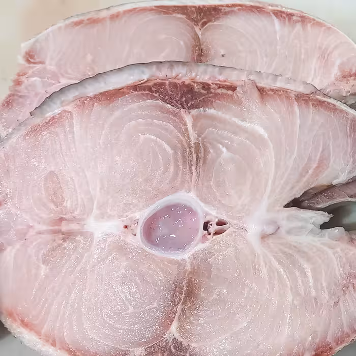 ماهی سکلا.. مخصوص کبابی. سرخ کردنی ماهی سکلا تیغ کمی داره. برا قلی مخصوص. هزینه ارسال محاسبه میگرد د