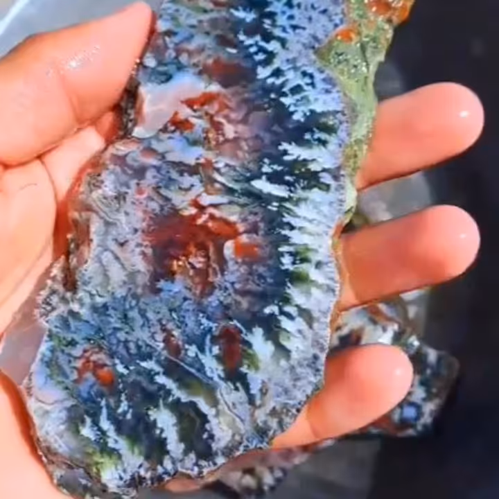 سنگ عقیق شجر بلدرچینی کلکسیونی ناب