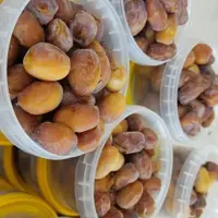 رطب کبکاب دستچین شده ی جنوب در بسته های 1 کیلویی
