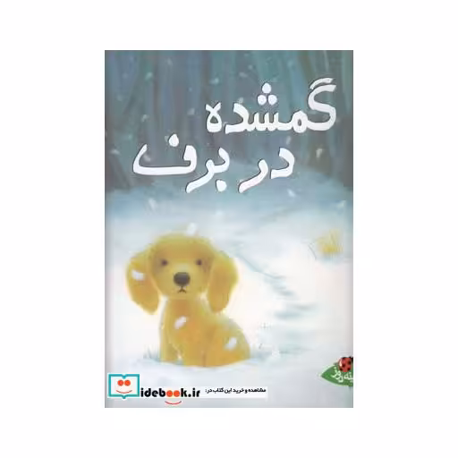 کتاب گمشده در برف