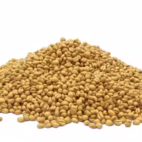 گندم برشته شده 100 گرمی