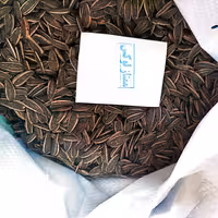 تخمه آفتابگردان لوکس درجه یک در انواع طعم های نمکی  سرکه ای کچاپ پیاز جعفری (1کیلو)