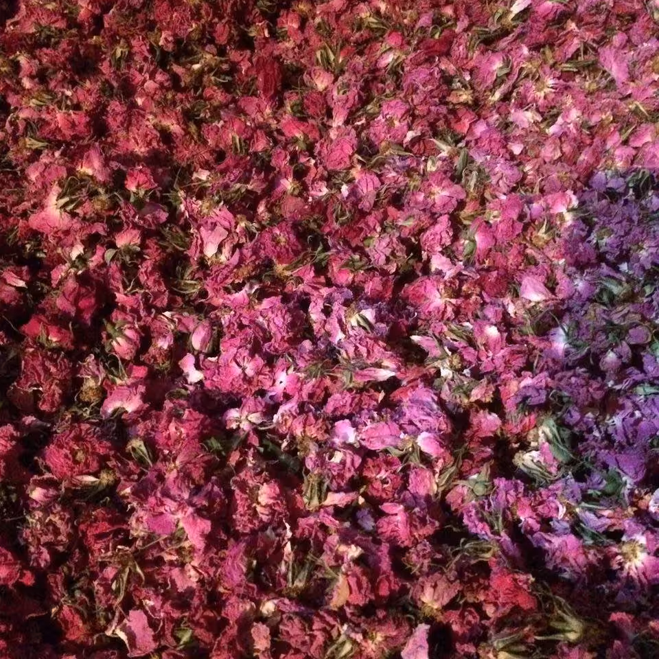 برگ گل محمدی 50گرمی