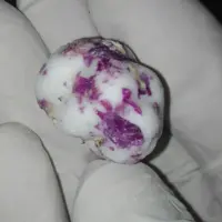 نقل بیدمشک گل محمدی ممتاز 