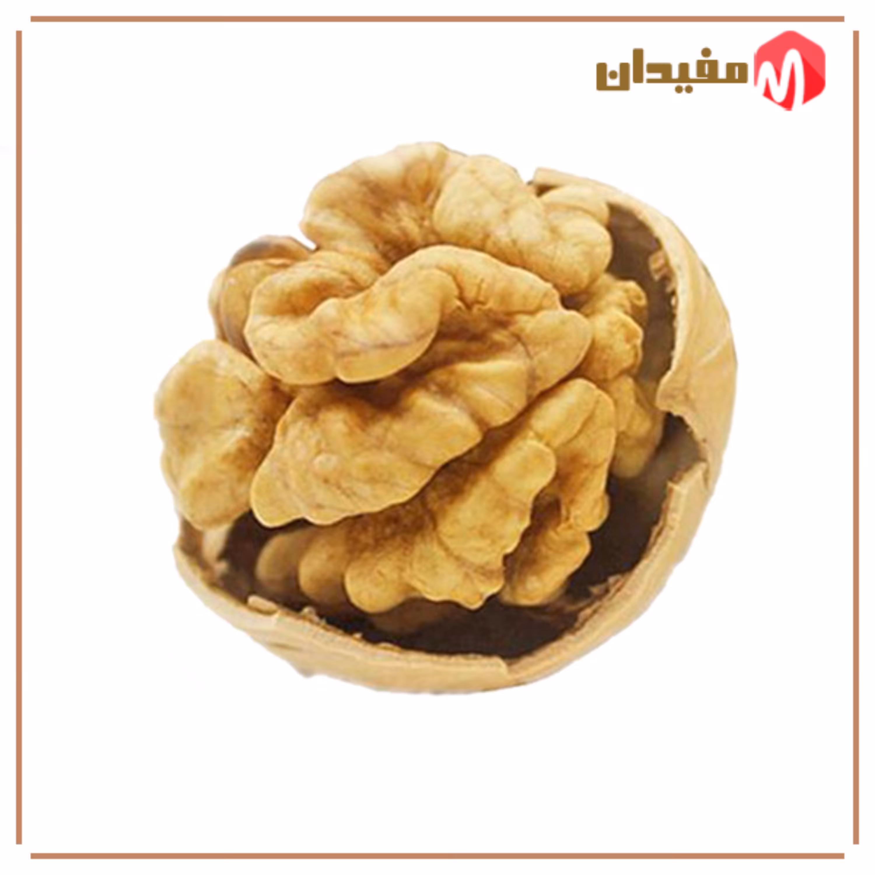 گردو پوست کاغذی 1403 - 900 گرمی محصول باغات مراغه