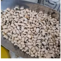 لوبیا چشم بلبلی( نیم کیلویی)