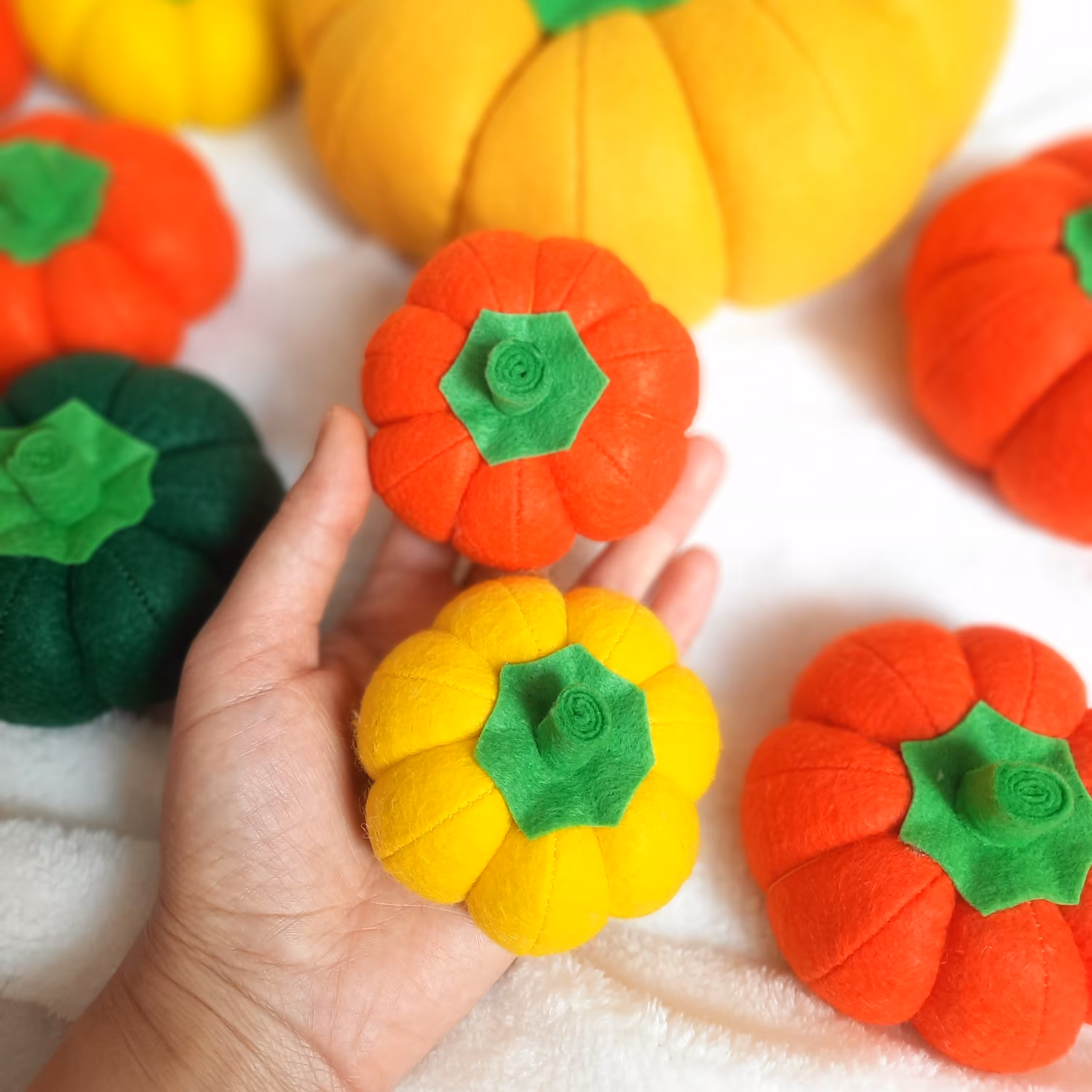 کدوی نمدی.قطر 8 سانت.  کدوی دکوری. کدو تنبل . جاسوزنی نمدی . 