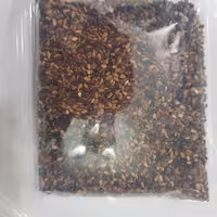 کنجد دیم با پوست با کیفیت بسیار بالا