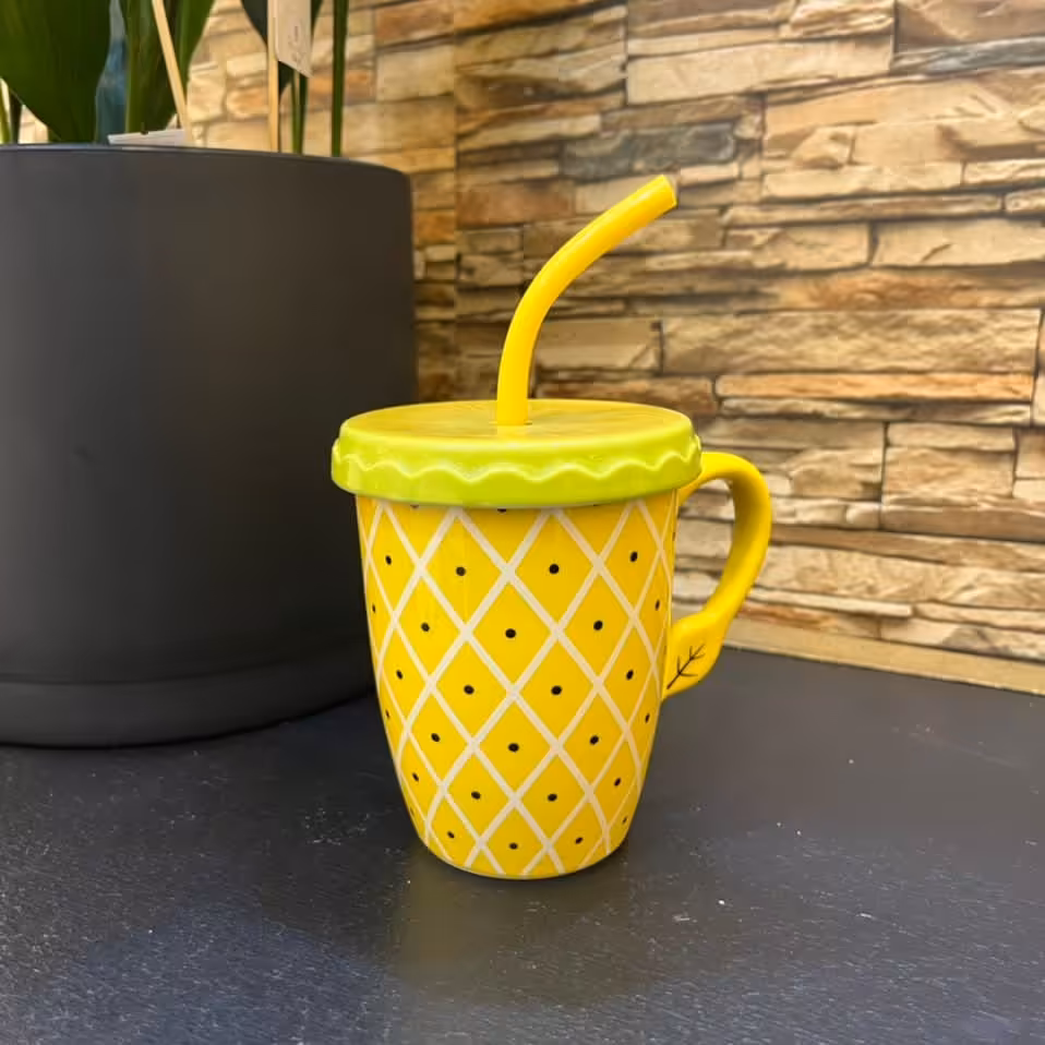 ماگ درب دار سرامیکی 