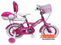دوچرخه TPT bike 12153