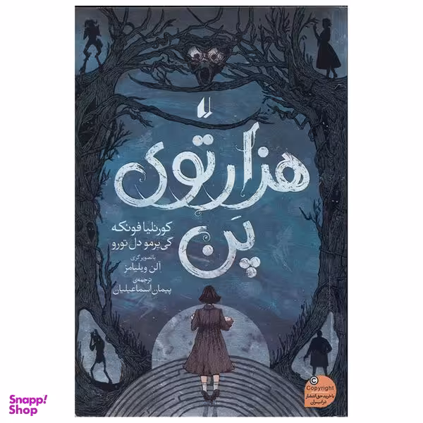 کتاب هزار توی پن اثر کورنلیا فونکه نشر افق