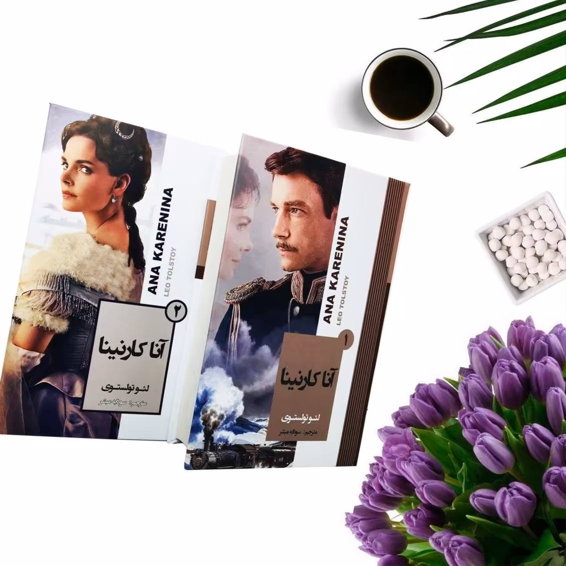 کتاب آنا کارنینا اثر لئو تولستوی (دوجلدی-گالینگور) انتشارات آتیسا