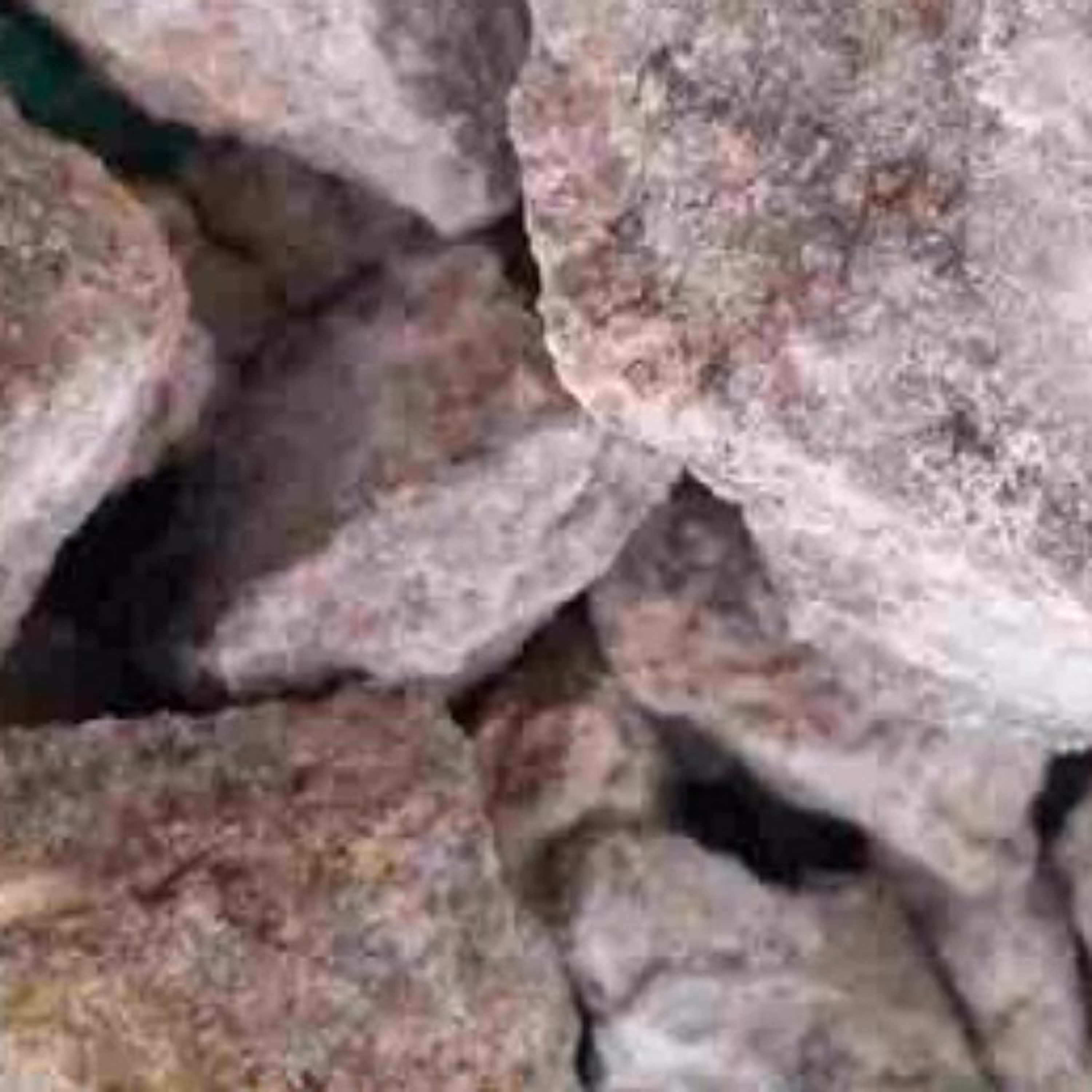 سوسن لبان(75گرم)