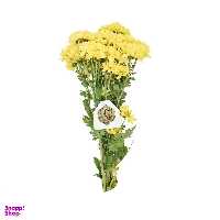دسته گل داودی مینیاتوری زرد هیمان کد 1066