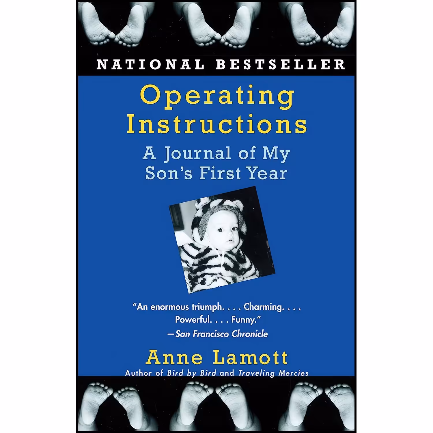 کتاب زبان اصلی Operating Instructions اثر Anne Lamott