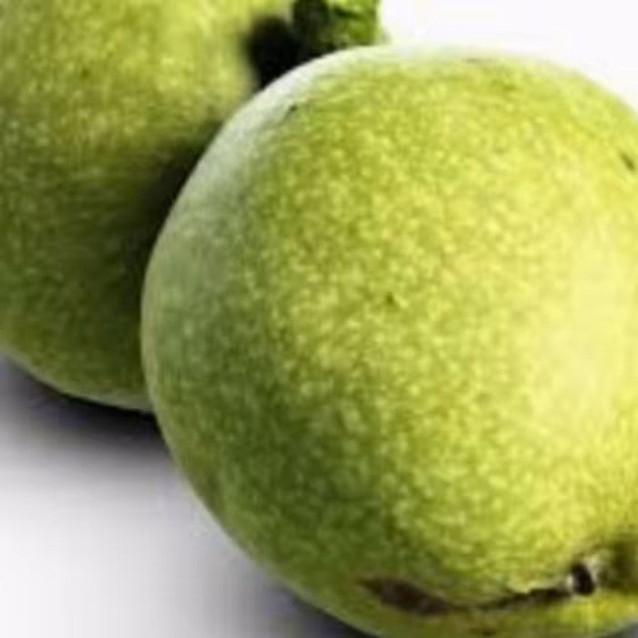 گردو تازه معمولی با پوست سبز 10 کیلویی ( از  10 شهریور تا پایان مهر-با ارسال رایگان-تولید کننده ایم)