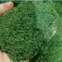 سبزی جعفری خشک 