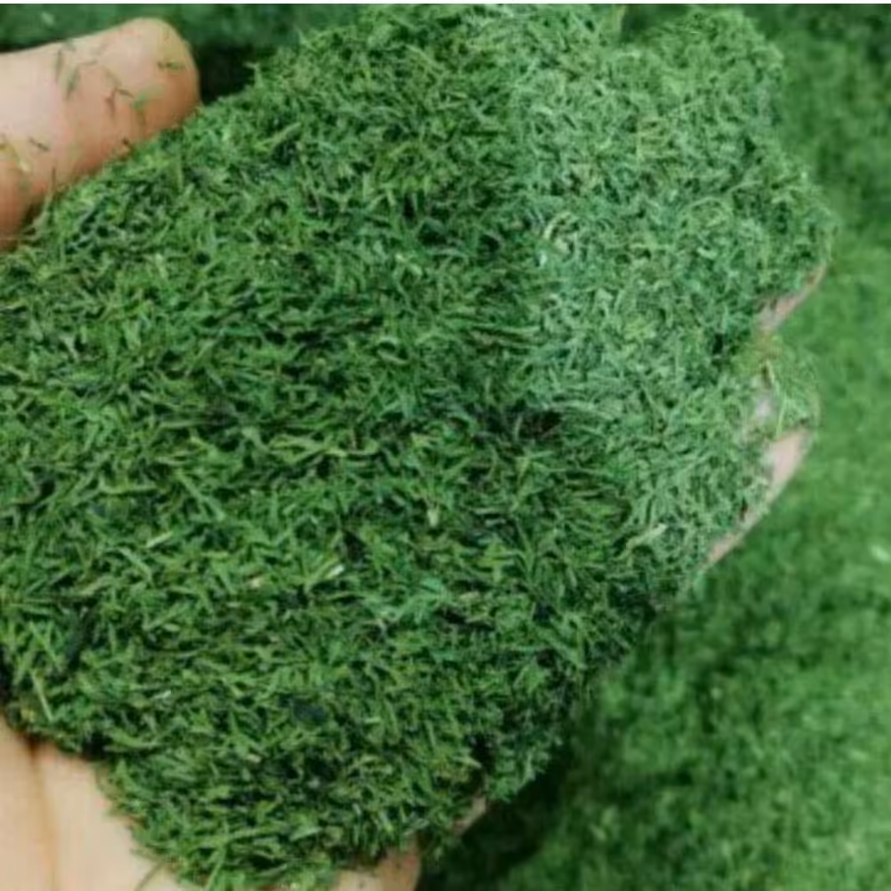 سبزی جعفری خشک 