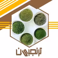 سبزی خشک نعنا معطر اعلا (100گرم )ترنجبین