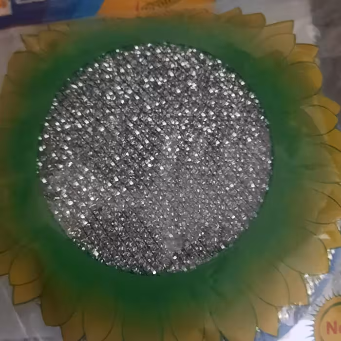 اسکاج  آفتاب خروس(خورشیدی) 